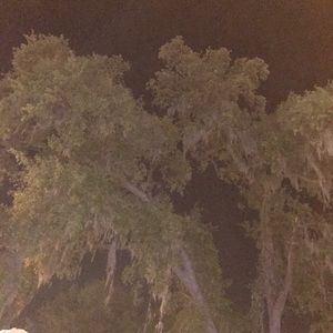 Meet your Posher, Tyla